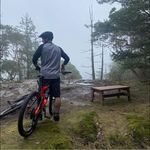 Shane Newcombe - @winston_newcs - Instagram