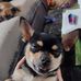 Shane Newcombe - Facebook