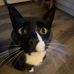 Shyanne Newcombe - Facebook