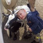 Shane Noonan - @shanenoonan518 - Instagram