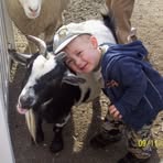 Shane Noonan - Facebook