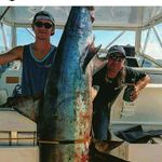 Shane - @shane_noonan_ - Instagram