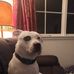 Shane North - Facebook