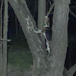 Shane North - @northshane - Instagram