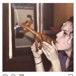 Shane Ortiz - @shaneortiz2009 - Instagram