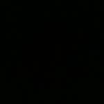 Shane Ortiz - @shaneortiz251 - Instagram