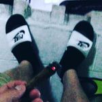 Shane Otto - @shane_otto845 - Instagram