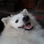 Shane Pack - @shane.a.pack - Instagram