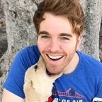 @shane._fan_.page - Instagram