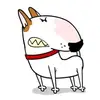 Shane Parr - @shane.parr - TikTok