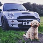Shane Passmore - @shanejames_96 - Instagram