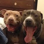 Shane Ballinger - @shane_payne - Instagram
