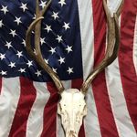Shane Peck - @speez209 - Instagram
