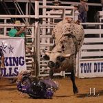 Shane Pippin - @pippinshane - Instagram