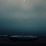 Shane Plank - @shafnae_plank - Instagram
