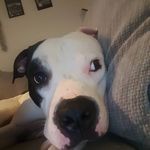 Shane Vanderplank - @shanevanderplank - Instagram
