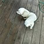 Shane Polk - @shane.polk - Instagram