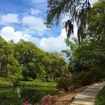 Shane Powers - @shane_photography_2016 - Instagram