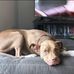 Shane Powers - Facebook