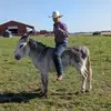 Shane Powers - @shane_powers - TikTok