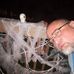 Shane Prather - Facebook