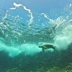 Shane Prather - @pratherjs - Instagram