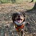 Shane Pruett - Facebook