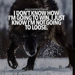 Shane Purdy - @shane.purdy.391 - Instagram