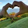 Shane Ramkissoon - @shane.ramkissoon - TikTok
