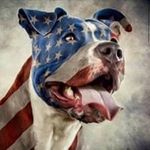 Shane Rector - @shane.rector - Instagram