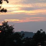 Shane Rector - @srec717 - Instagram