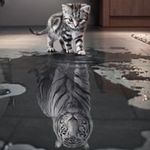 Shane Rector - @pavingpunk - Instagram