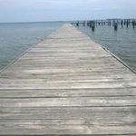 Shane Reeder - @shanereeder1 - Instagram
