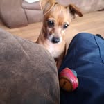 Shane Revill - @shane.revill1 - Instagram