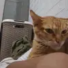 xyver_shane - @revilla.xyver.shane - TikTok