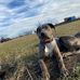 Shane Riggs - Facebook