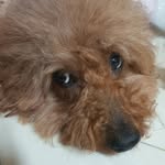 최경은 - @shanerine_chachateam - Instagram