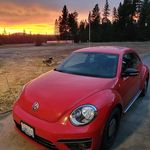 Shane Roach - @cmyview - Instagram