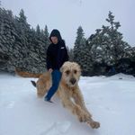 Shane - @shane_robbins29 - Instagram