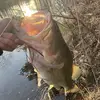 ️ - @shane.robbins06 - TikTok