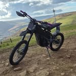 Shane Robbins - @rugby.shane - Instagram