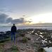 Shane Roche - Facebook