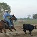 Shane Rickly Professional Bull Rider &amp; Team Roper - Facebook
