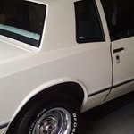 Shane Roper - @shane.roper.1654 - Instagram