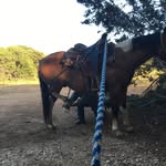 Shane Rust - @shane.roper.rust - Instagram