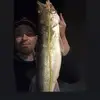 rupedog - @shanerupe1 - TikTok
