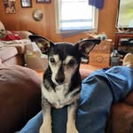 Shane Salyer - @shanesalyer44 - Instagram