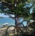 Shane Samson - Facebook