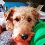 Shane Sanderson - @shane86753092020 - Instagram