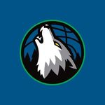 Shane Sanderson - @timberwolvesfan23 - Instagram